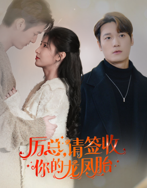 历总,请签收你的龙凤胎(69集) 历总,请签收你的龙凤胎(69集)爆火短剧推荐