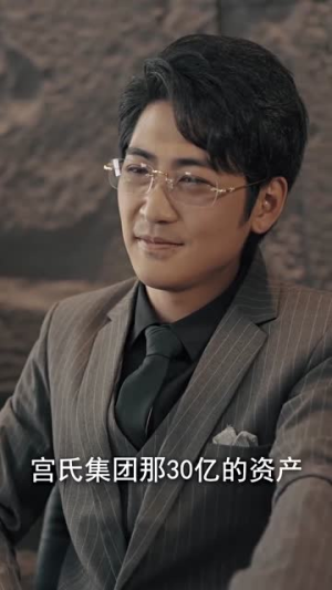 重生后我在商界席卷风云(100集) 重生后我在商界席卷风云(100集)一共多少集