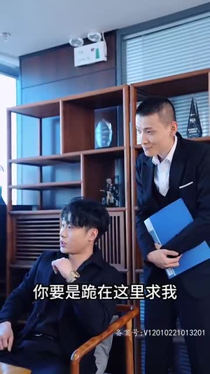 28.系统提示您的钱已到账（100集）好看的短剧分享