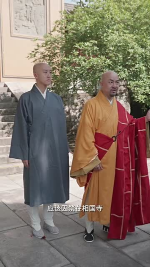 极品摄政王推荐热门短剧