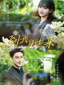 到我身边来（100集）热播古装短剧