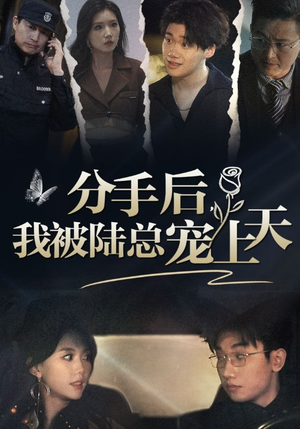分手后，我被陆总宠上天（76集）爆款短剧推荐