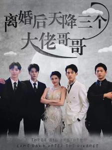 离婚后天降三个大佬哥哥(83集) 离婚后天降三个大佬哥哥(83集)一起追生活短剧