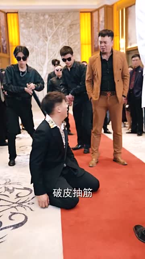 龙组（82集）热门短剧又来了