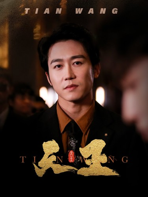 5天王（100集）在线看到大结局