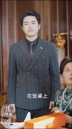 风云再起（长篇）免费短剧大全