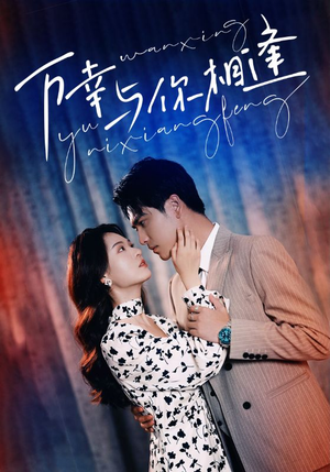 万幸与你相逢（99集）追短剧看全集