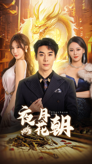 夜月花朝（30集）古装热门短剧