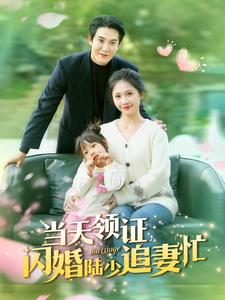当天领证闪婚陆少追妻忙（80集）火爆短剧来袭
