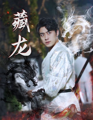 藏龙（74集）真的好看吗