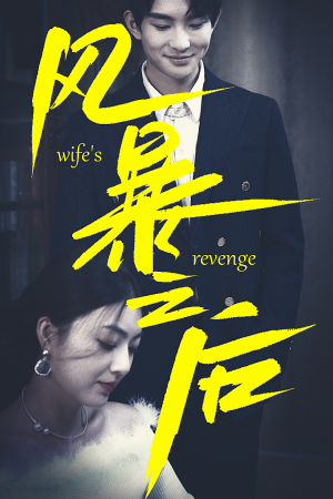 风暴之后（80集）这部短剧太好看