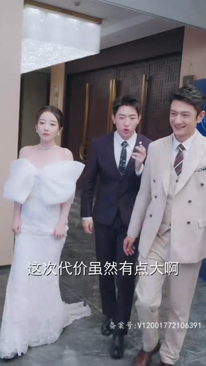 逃婚夫妇又掉马甲了（97集）360网盘观看