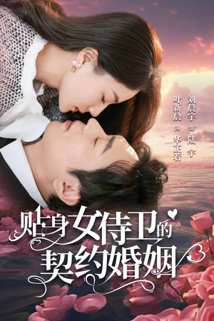 贴身女侍卫的契约婚姻（91集）追风的女孩短剧