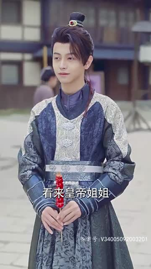 步步为上（97集）在线免费观影