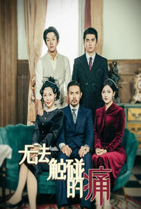 无法触碰的痛（80集）全集免费观看