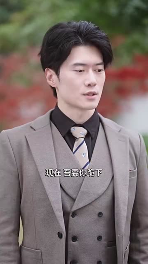 老祖宗驾到（90集）全剧免费观看