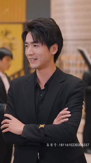 锦龙（82集）热门短剧大全