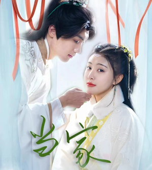 傻子王爷娇宠妃&当家（50集）短剧在哪个平台