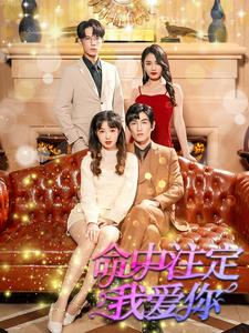 命中注定我爱你（99集）短剧推荐上热门