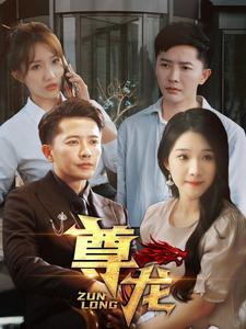 新版：尊龙（97集）全集我都看完了