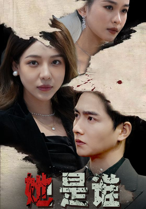 她是谁（79集）短剧更新抢先看