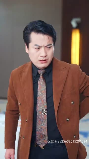 特工夫妇（82集）精彩好看短剧