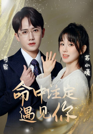 命中注定遇见你（96集）全季一次看完