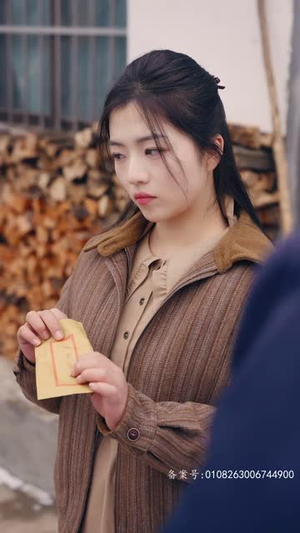 穿越七零糙汉老公双开门 99集解说文案