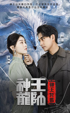 神王龙帅（87集）全集
