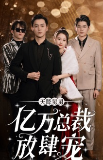 天降舅舅亿万总裁放肆宠（71集）在线看完整版