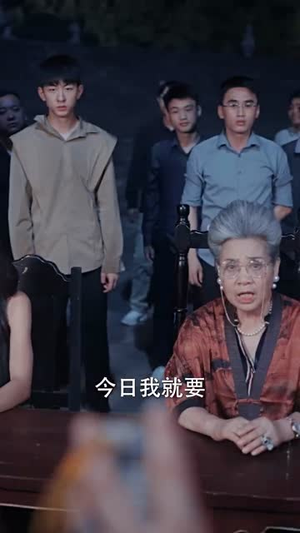 精武风云（96集）80到100集