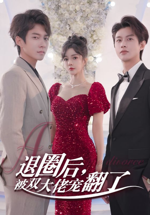 退圈后，被双大佬宠翻了（78集）短剧演员排行榜