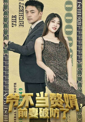 爷不当赘婿，前妻破防了（80集）高清画质免费看