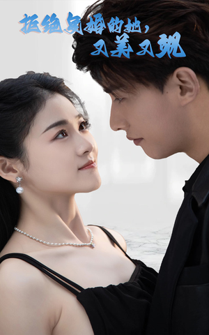 拒绝复婚的她，又美又飒（100集）解说文案