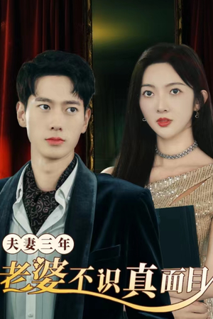 夫妻三年老婆不识真面目（83集）全剧免费观看