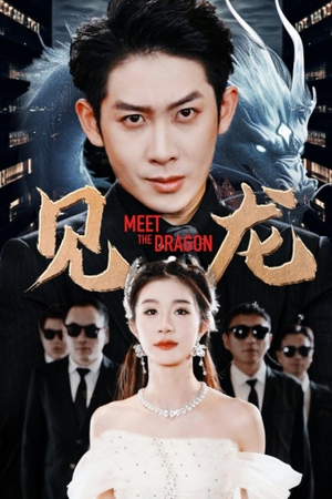 见龙（78集）好看的短剧电影