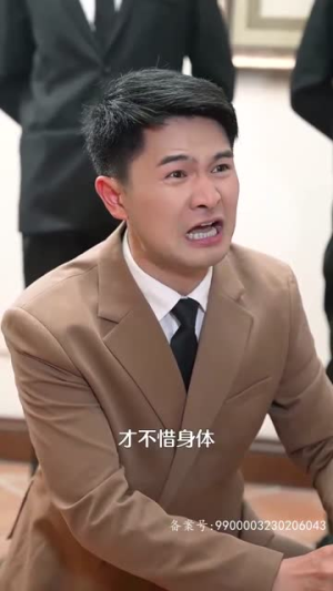 总裁夫人的双面身份（79集）视频在线看