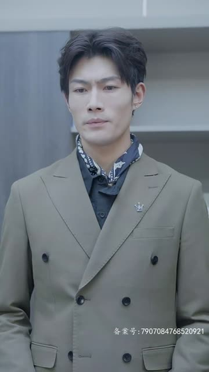 战凰（92集）零花钱看整部剧