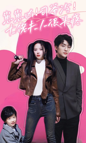 崽崽凶！司爷冷！大佬夫人很头疼（80集）精彩不断免费看