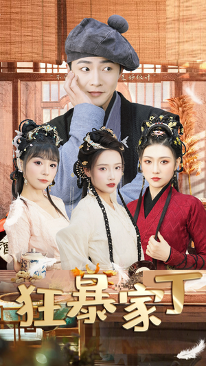 狂暴家丁$飞驰人生之超品家丁（90集）最后的大结局