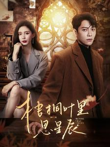 梧桐叶里思星辰（100集）精彩短剧抢先看