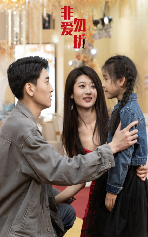 非爱勿扰（92集）解说