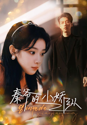 秦爷的小娇纵（96集）流畅播放免费看