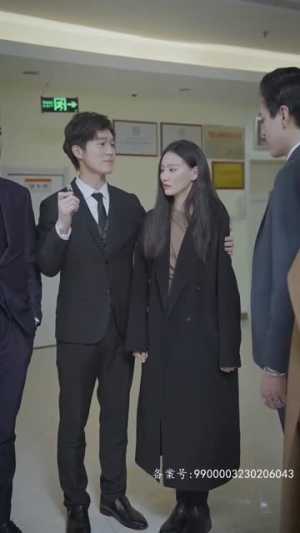 黯然失色（80集）剧情简介