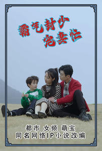 霸气封少宠妻忙（80集）直接看到大结局