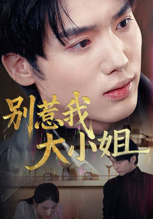 别惹我大小姐（40集）古装热门短剧
