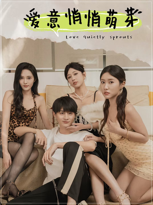 爱意悄悄萌芽（30集）精彩的网络短剧