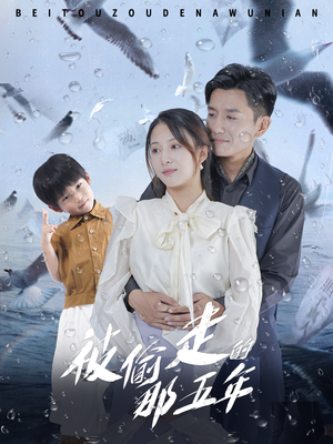 被偷走的那五年（70集）在线播放