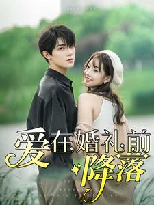 爱在婚礼前降落（50集）全集一网打尽