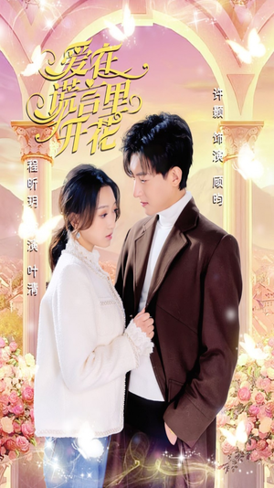爱在谎言里开花（80集）在线免费观看